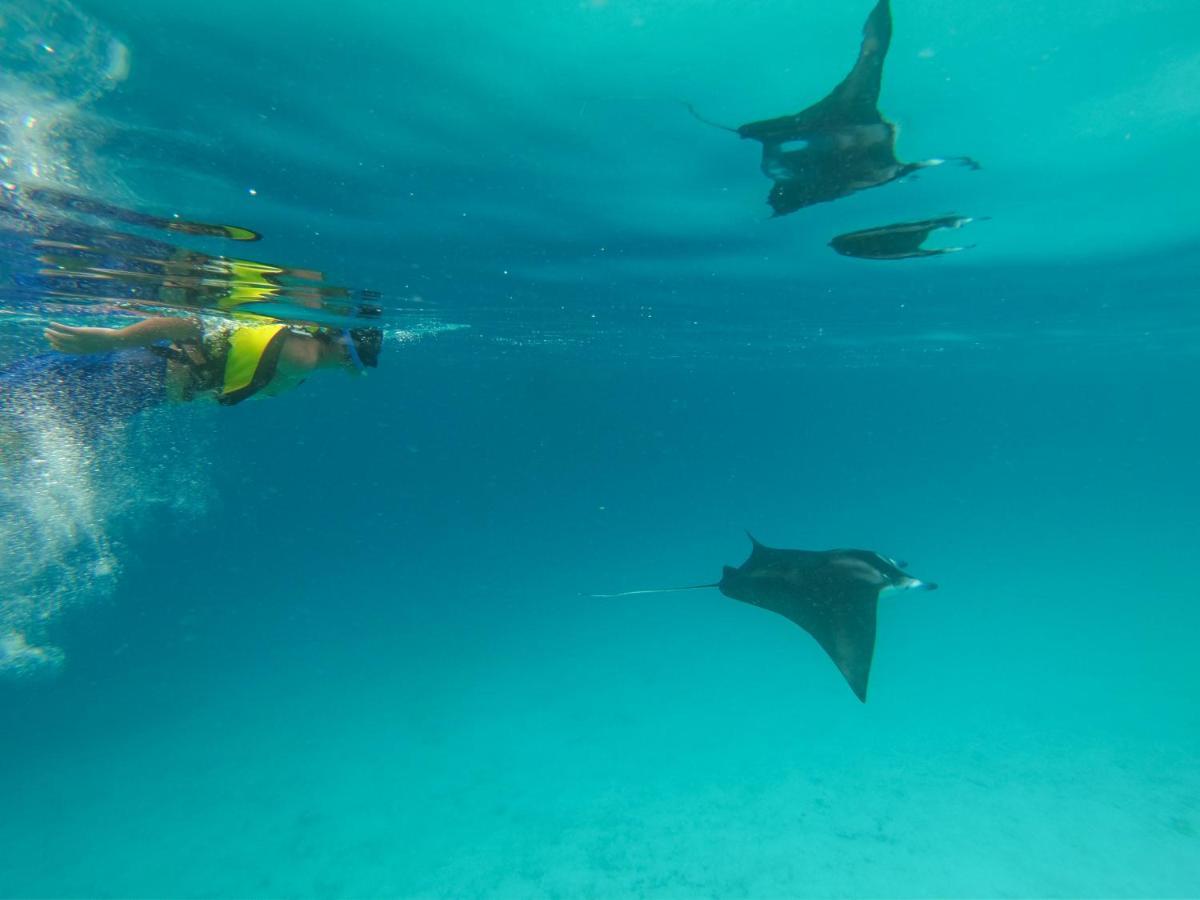 Coral Queen Villa, Ukulhas 外观 照片